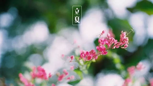 昆明公共文化云