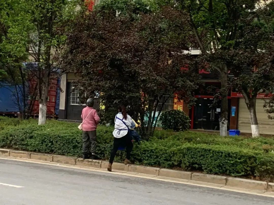保山新闻网