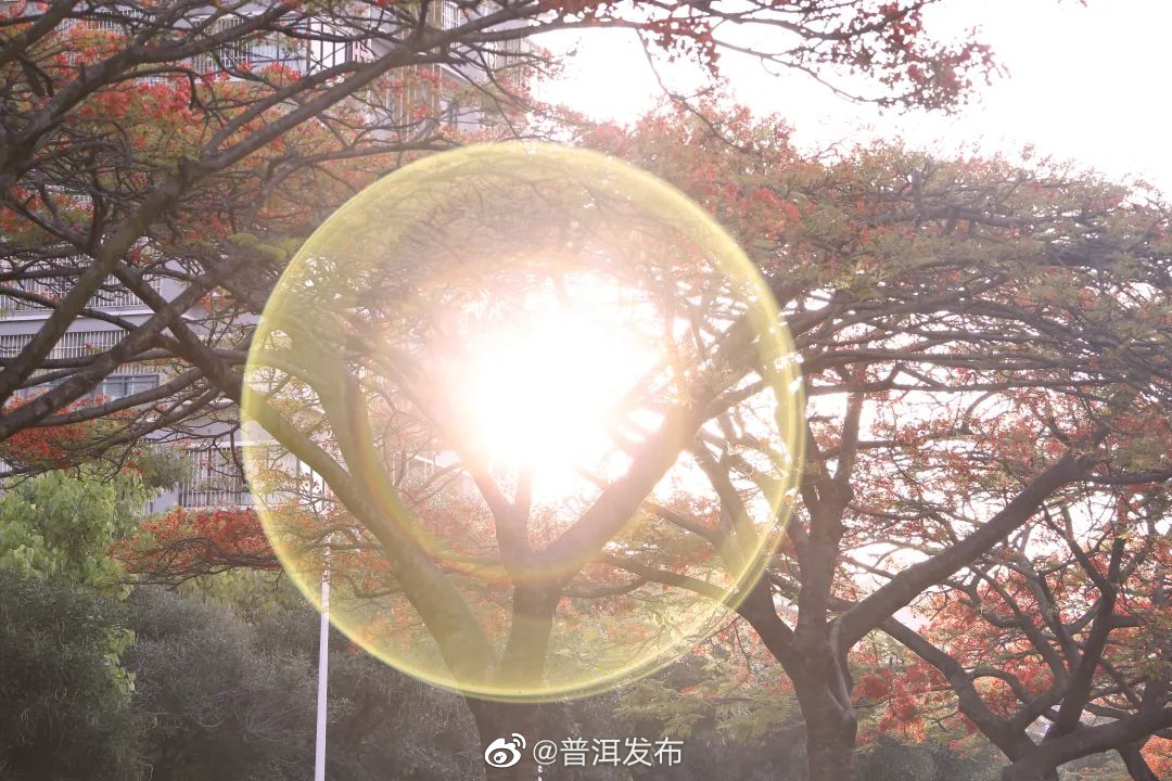 普洱发布