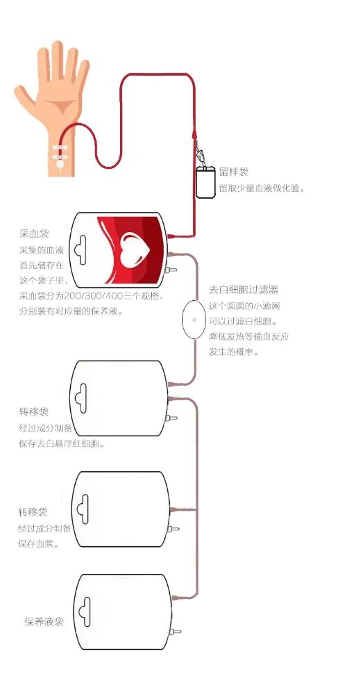 云南昆明血液中心