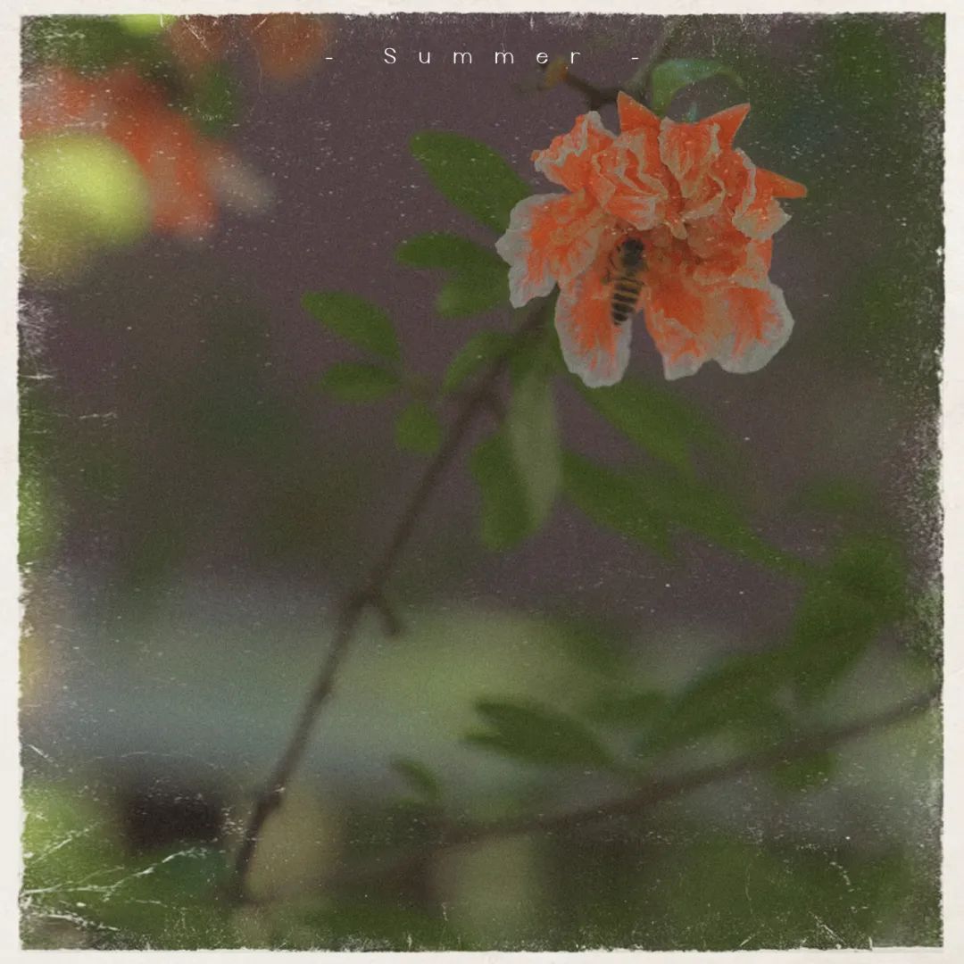 昆明市金殿名胜区