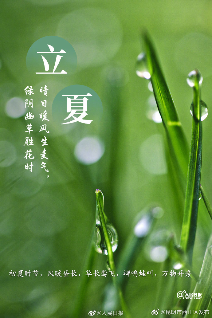 昆明市西山区发布
