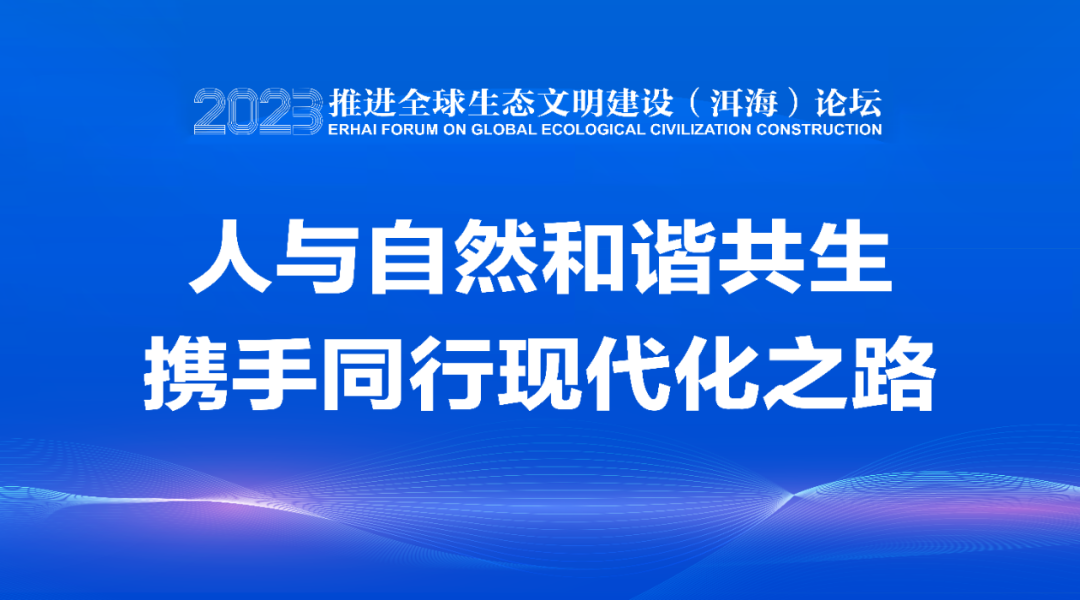大理日报