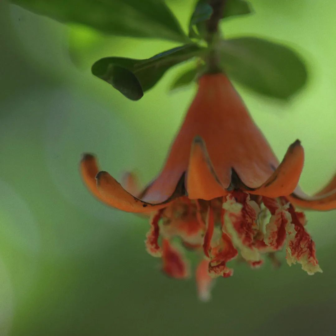 昆明市金殿名胜区