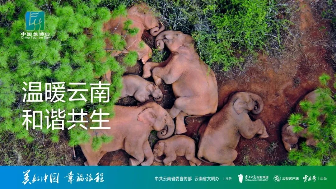 德宏团结报