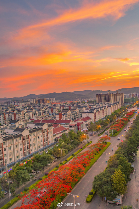 “我们一起走过：因为爱的表达”文旅盛宴5月20日开启 来思茅区石龙路乐享凤凰花下的浪漫