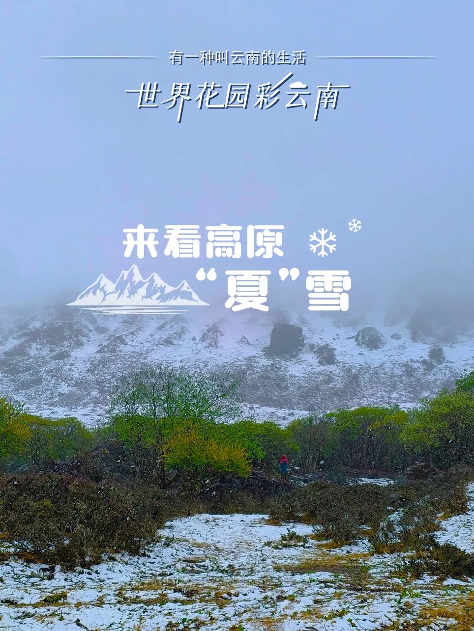 丽江日报