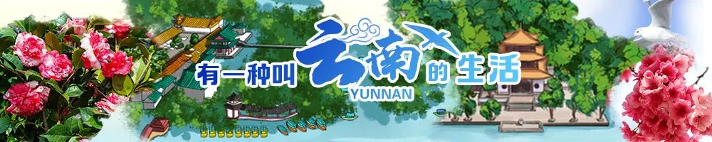 掌上春城