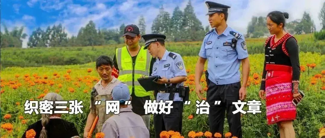 云南政法