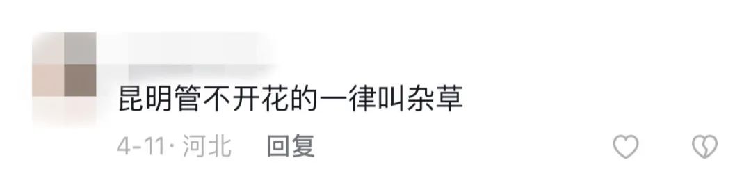 掌上春城
