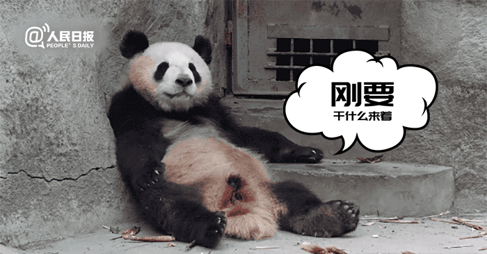 昆明市西山区发布