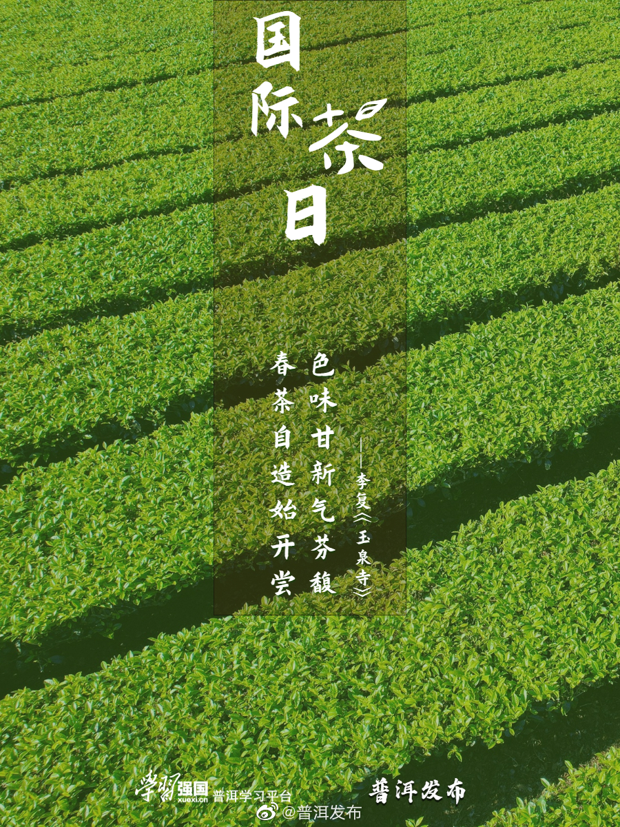 普洱发布