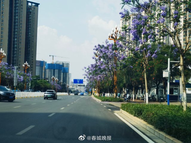 春城晚报