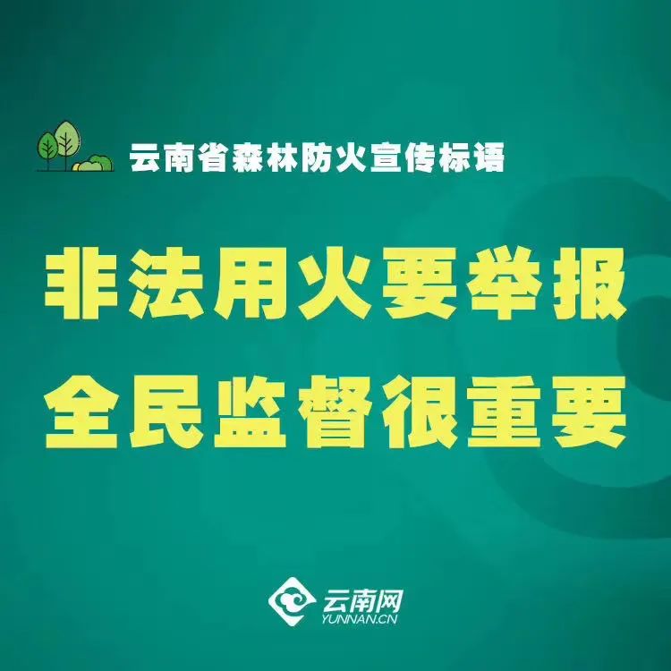 大理日报