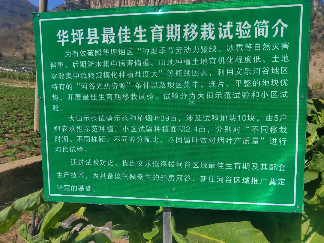 丽江日报