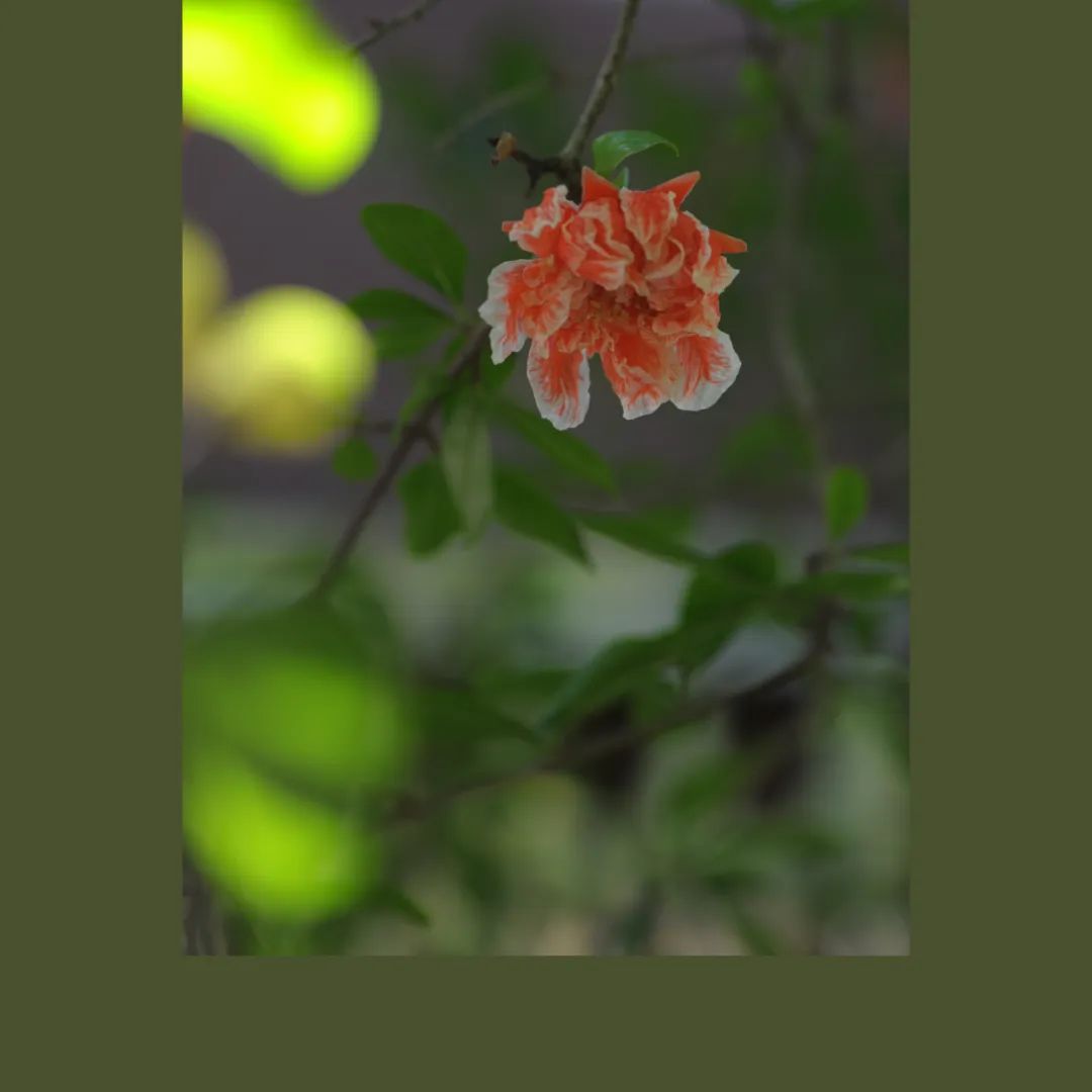 昆明市金殿名胜区