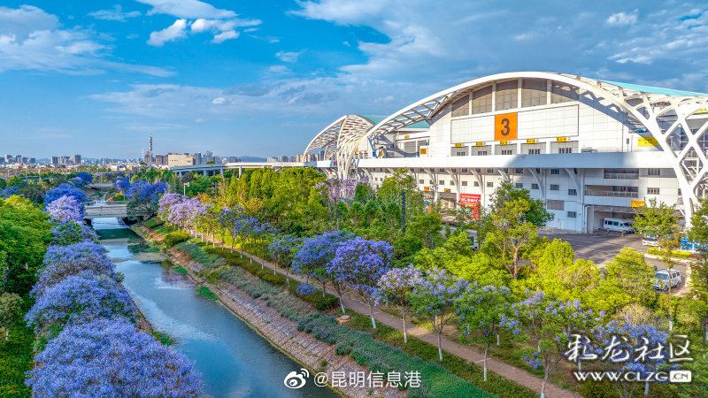 昆明信息港微博