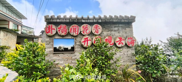 团结兴边看文山 | “卧榻闻花香” 兰花种植美了家园富了群众