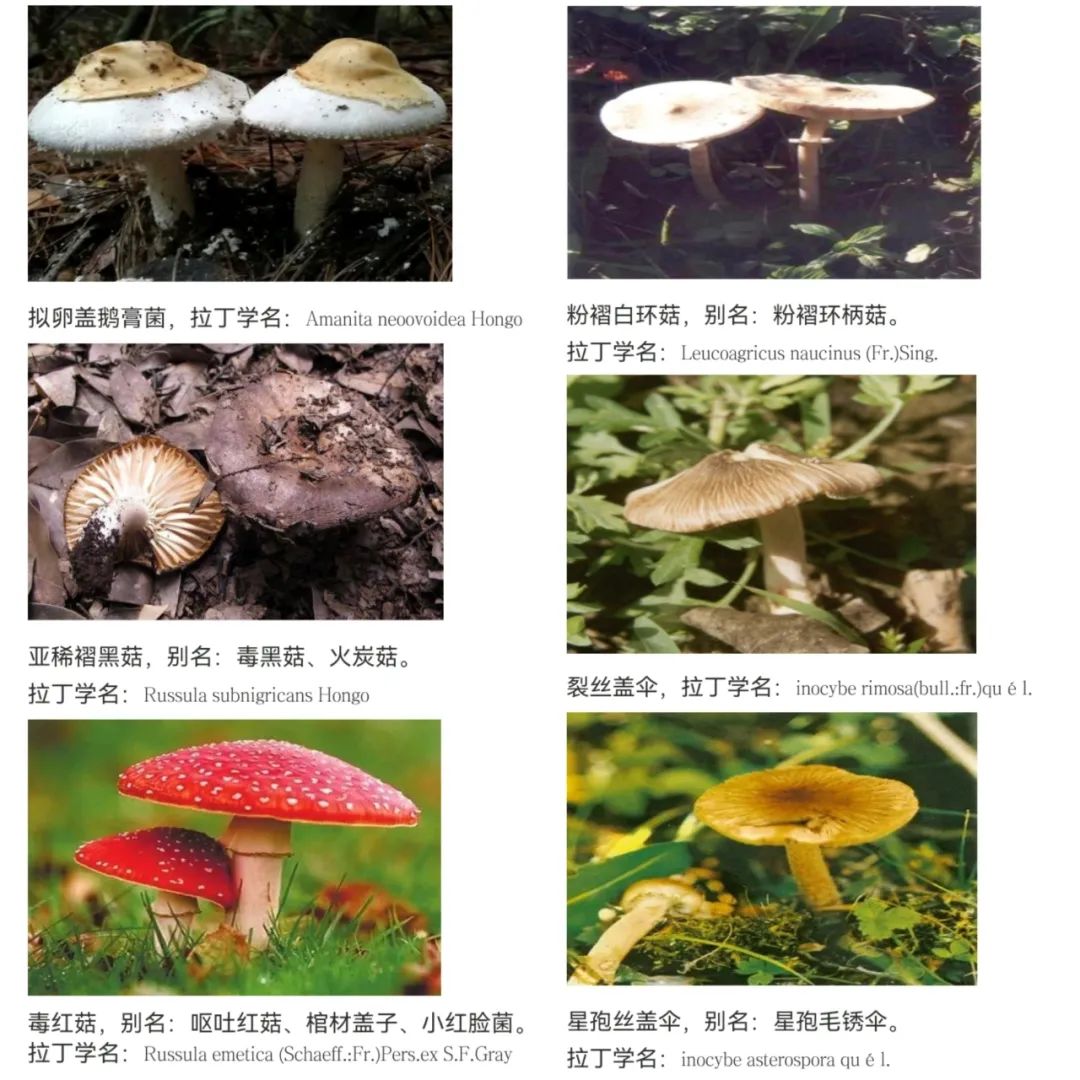 云南省文山州人民医院
