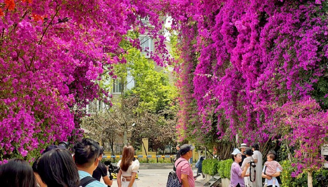 云南省文化和旅游厅