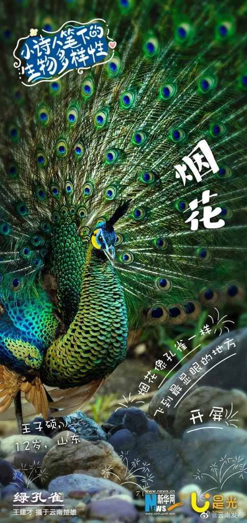 云南发布