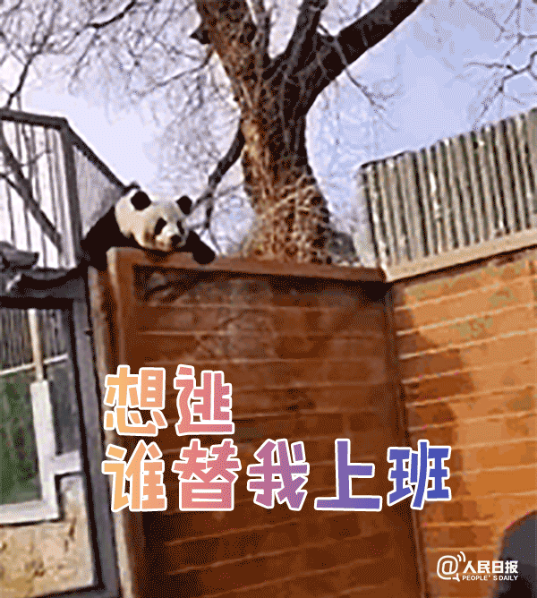 昆明市西山区发布