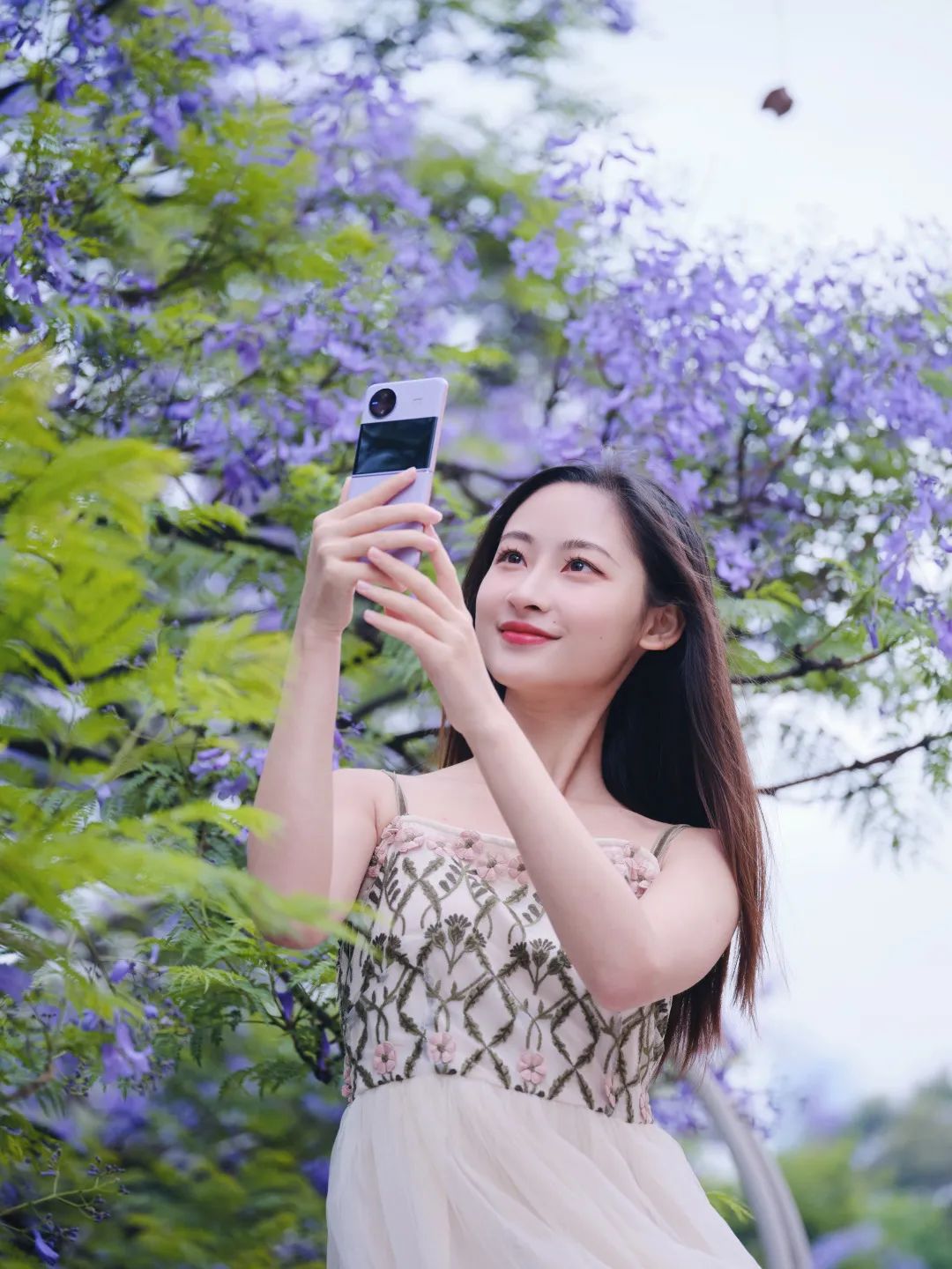 春城晚报