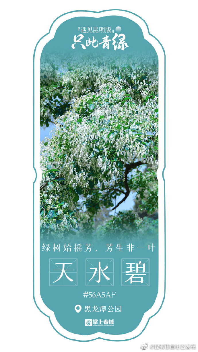 昆明市西山区发布