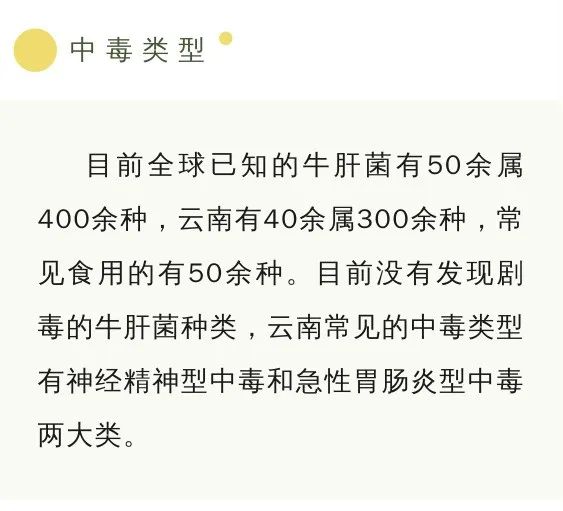 宜良之窗