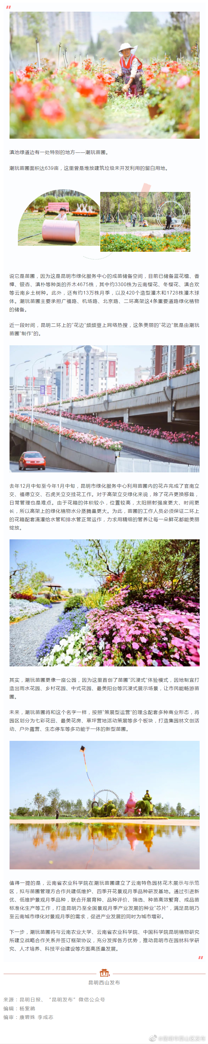 你知道吗?昆明二环上的“花边”来自这里