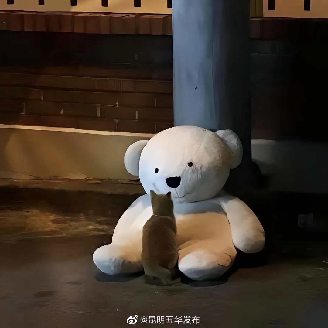 昆明五华发布