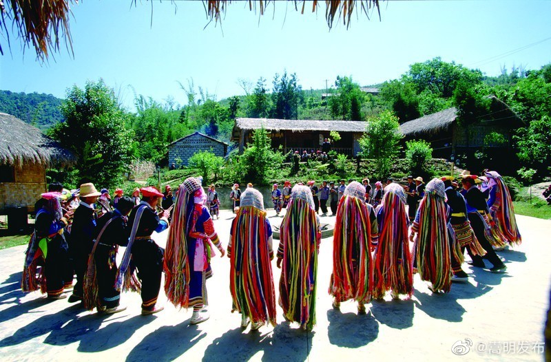嵩明发布