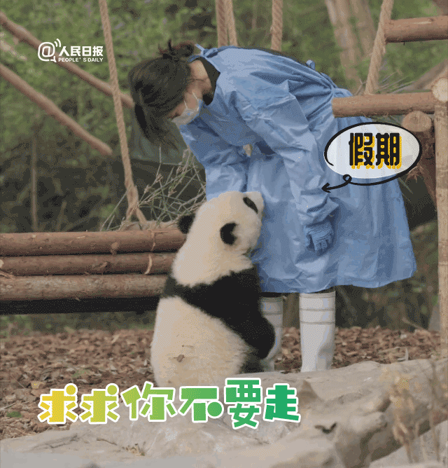 昆明市西山区发布