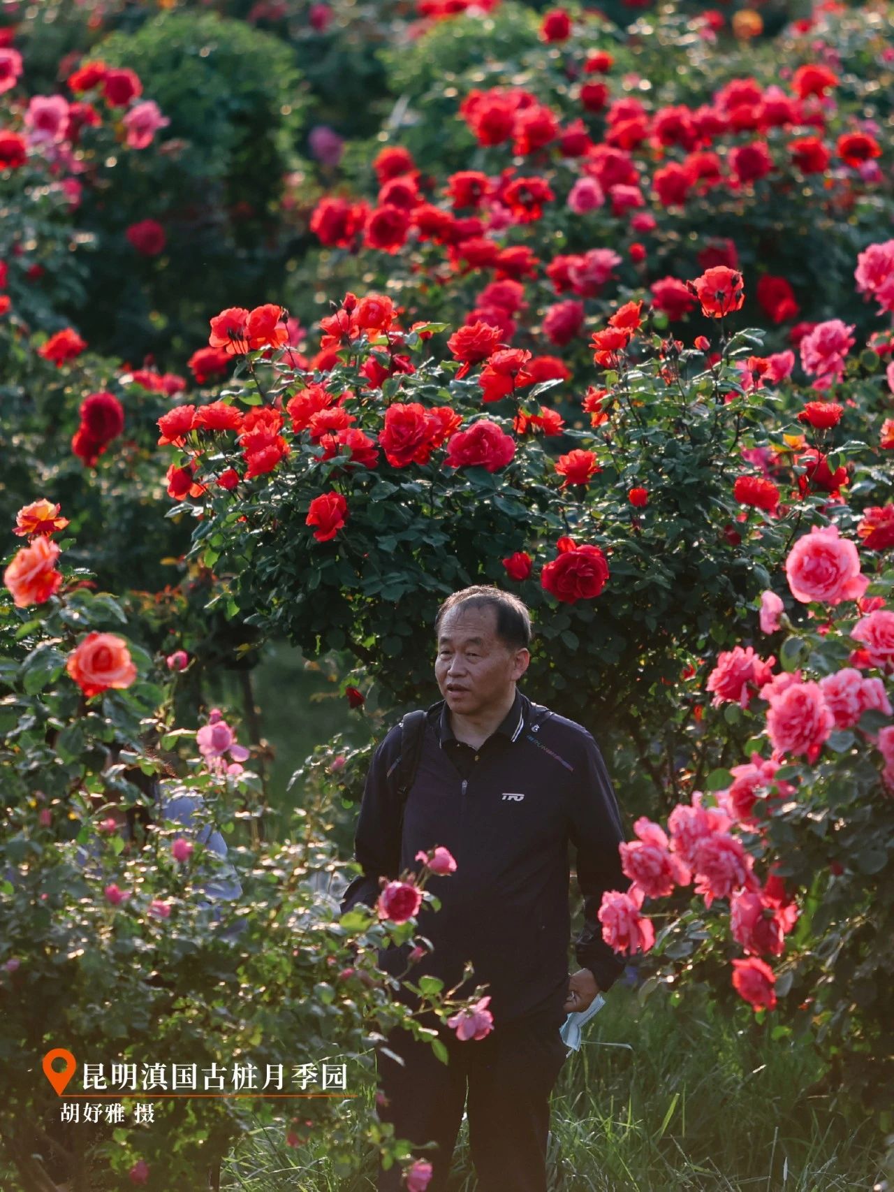 云南省文化和旅游厅