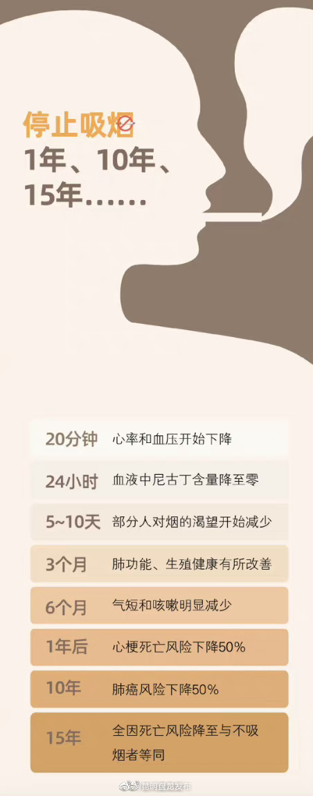 昆明盘龙发布