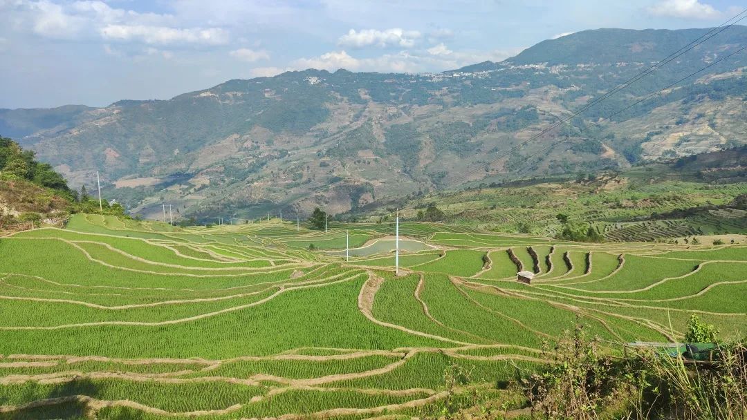 红河文旅
