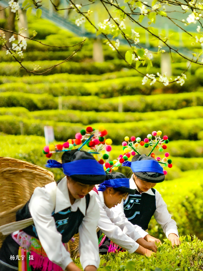 云南省文化和旅游厅