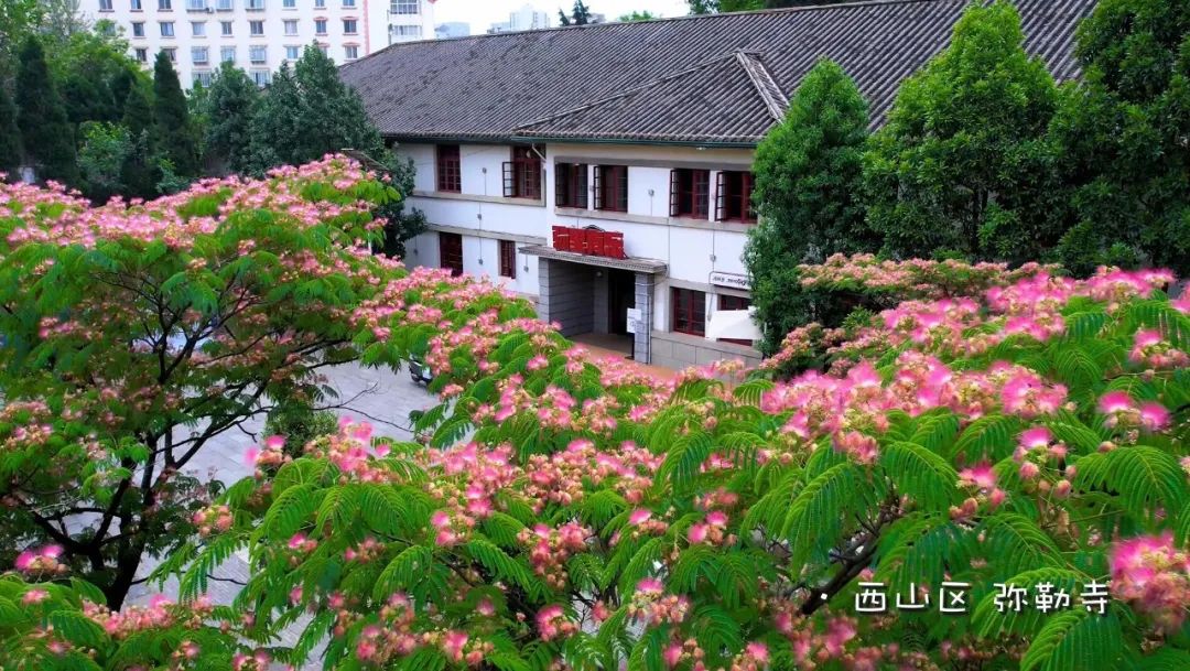 昆明西山发布