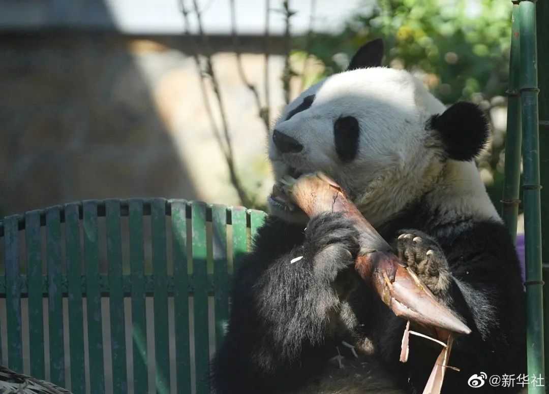 昆明信息港/cnkmxxg