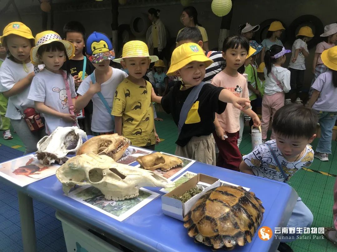 云南野生动物园