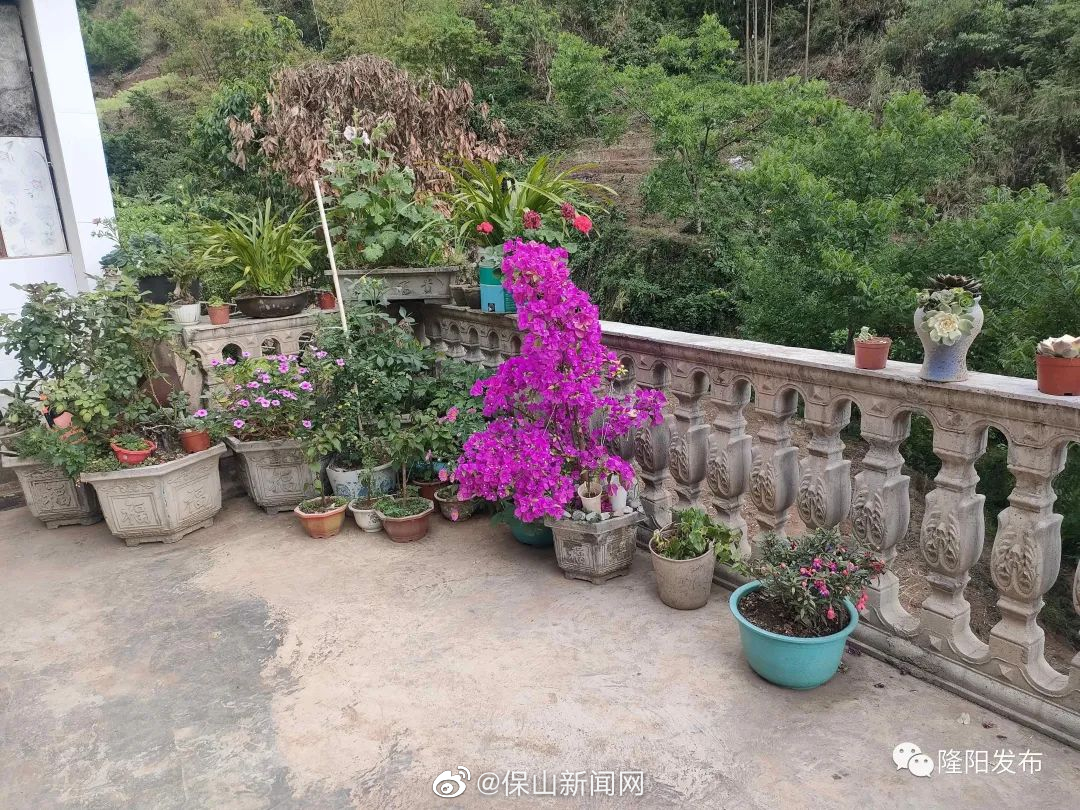 保山新闻网
