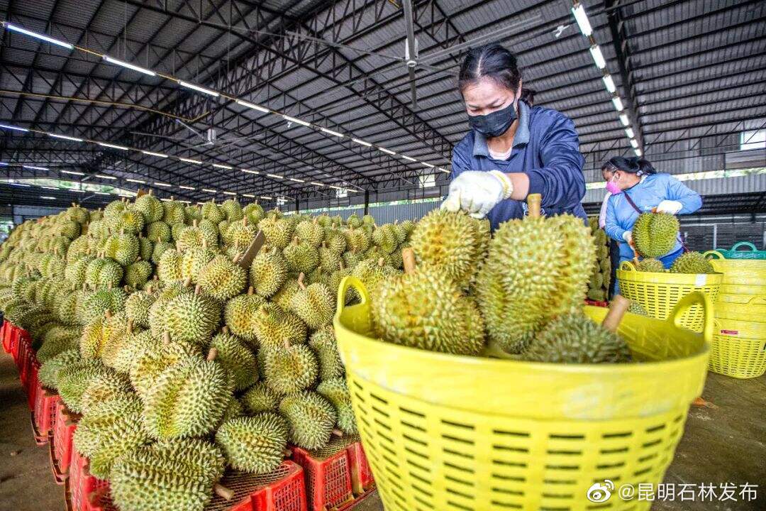 昆明石林发布