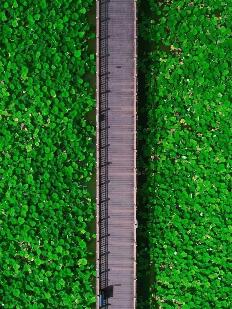 红河文旅