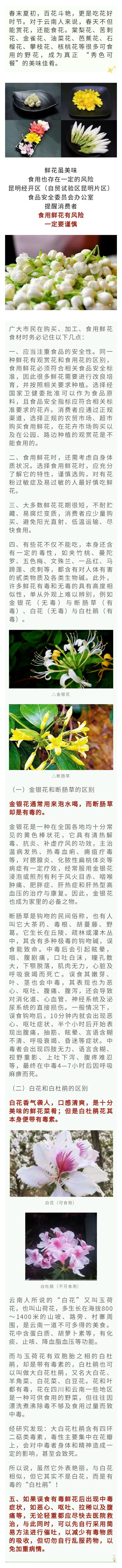 昆明经开区
