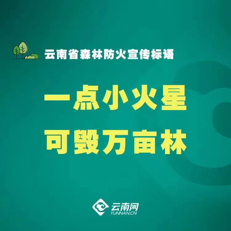 大理日报