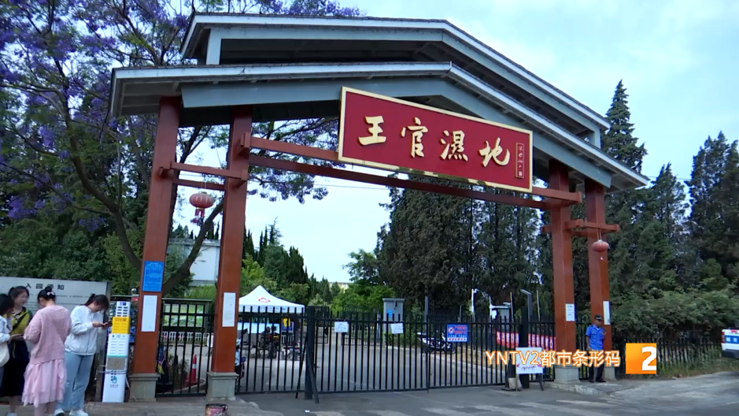 昆明信息港/cnkmxxg