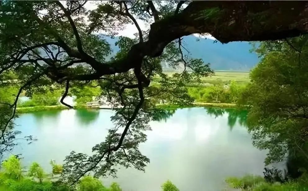 丽江日报