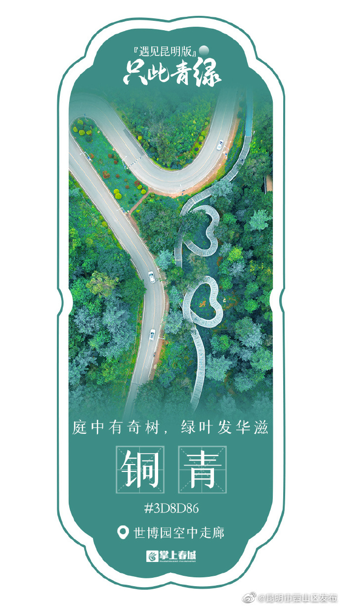 昆明市西山区发布