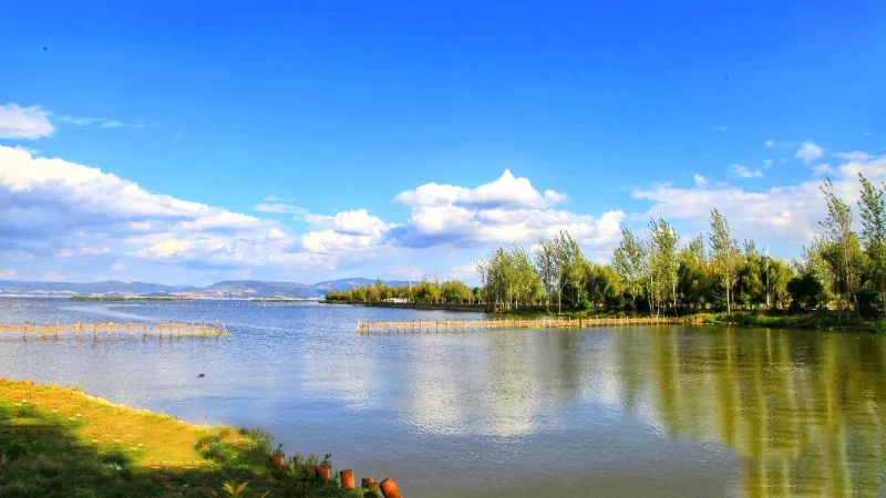 昆明信息港/cnkmxxg