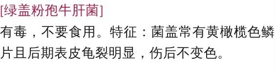 宜良之窗